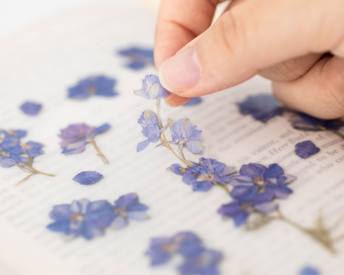 feel the nature with the sticker that can be attached anywhere (pressed flower, nature, fruit)